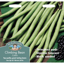 Mr Fothergills - Pictorial Packet - Vegetable - Climbing Bean Cobra - 50 Seeds