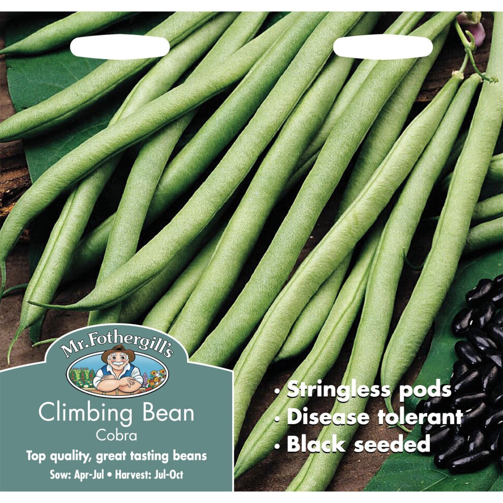 Mr Fothergill's - Pictorial Packet - Vegetable - Climbing Bean Cobra - 50 Seeds