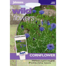 Johnsons Seeds - Pictorial Pack - Flower - Wildflower Cornflower - 150 Seeds