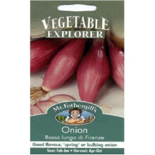 Mr Fothergills - Pictorial Packet - Vegetable - Spring Onion Rosea Lunga de Firenze - 350 Seeds
