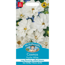 Mr Fothergills - Pictorial Packet - Flower - Cosmos Psyche White - 60 Seeds