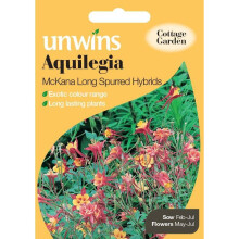 Unwins Pictorial Packet - Aquilegia Mckana Long Spurred Hybrids - 250 Seeds