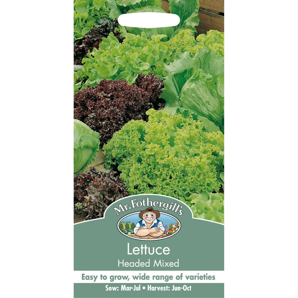 Mr Fothergill's - Pictorial Packet - Vegetable - Lettuce Headed Mixed - 1000 Seed