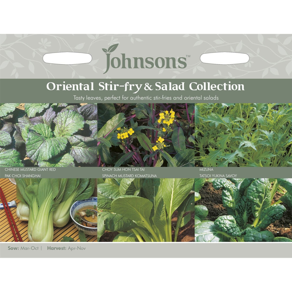 Johnsons Seeds - Pictorial Pack - Vegetable - Oriental Stir-Fry & Salad Collection