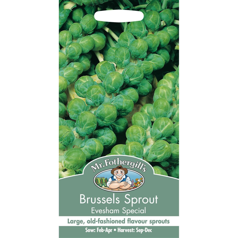 Mr Fothergills - Pictorial Packet - Vegetable - Brussels Sprout Evesham Special - 500 Seeds