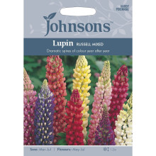 Johnsons Seeds - Pictorial Pack - Flower - Lupin Russell Mixed - 60 Seeds