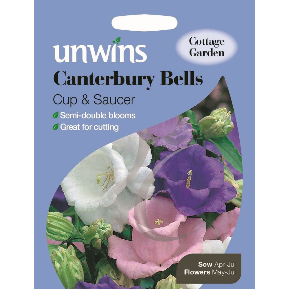 Unwins Grow Your Own Canterbury Bells Cup & Saucer Blooms Flower Seeds