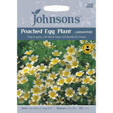 Johnsons Seeds - Pictorial Pack - Flower - Poached Egg Plant - Limnanthes - 100 Seeds