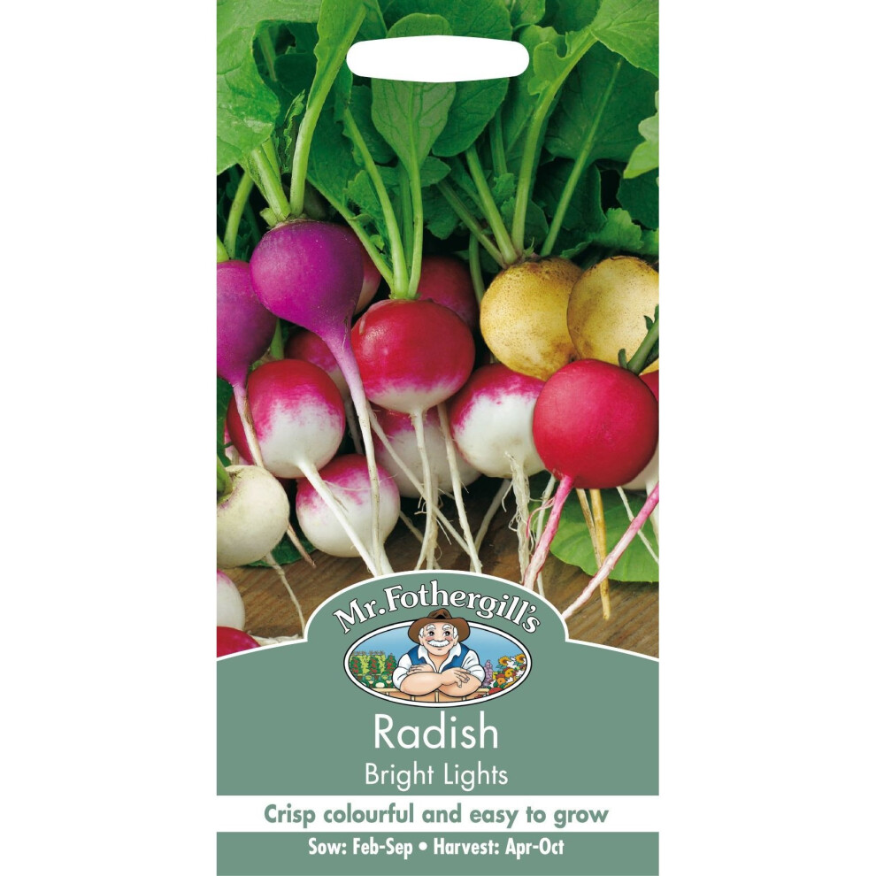 Mr Fothergills - Pictorial Packet - Vegetable - Radish Bright Lights - 400 Seeds