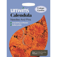 Unwins Pictorial Packet - Calendula Needles And Pins - 200 Seeds