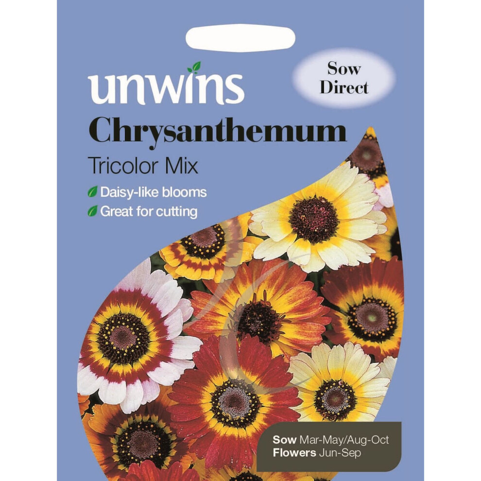 Unwins Grow Your Own Chrysanthemum Tricolour Mix Pretty Blooms Seeds