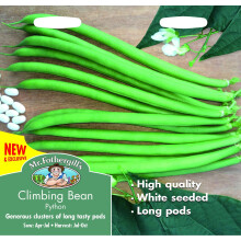 Mr Fothergills - Vegetable - Climbing Bean Python - 50 Seeds
