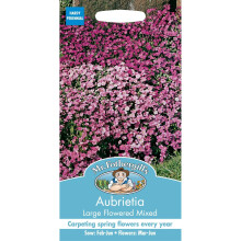 Mr Fothergills - Pictorial Packet - Flower - Aubrietia Large Flowered Mixed - 400 Seeds