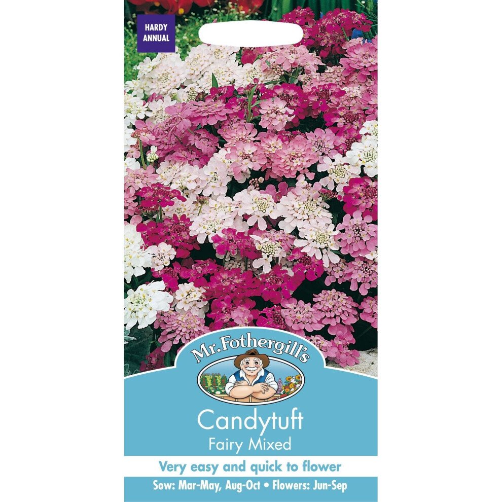 Mr Fothergill's - Pictorial Packet - Flower - Candytuft Fairy Mixed - 500 Seeds