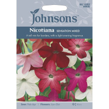 Johnsons Seeds - Pictorial Pack - Flower - Nicotiana Sensation Mixed - 2000 Seeds