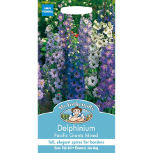 Mr Fothergills - Pictorial Packet - Flower - Delphinium Pacific Giants Mixed - 100 Seeds