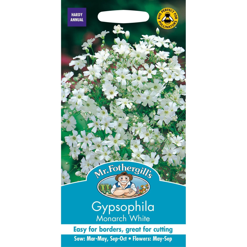 Mr Fothergills - Pictorial Packet - Flower - Gypsophila Monarch White - 1000 Seeds