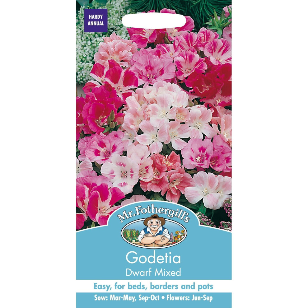 Mr Fothergills - Pictorial Packet - Flower - Godetia Dwarf Mixed - 1000 Seeds