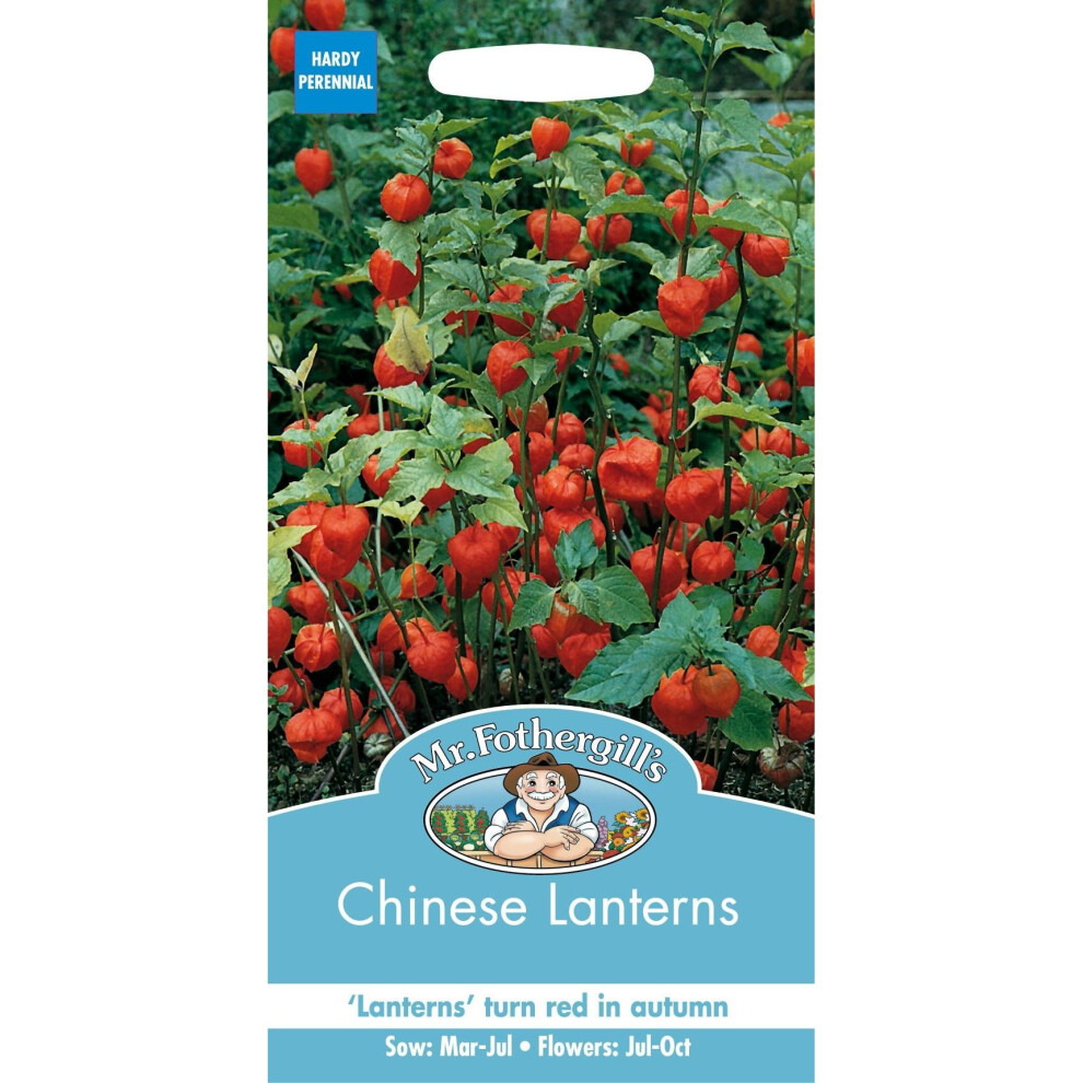 Mr Fothergills - Pictorial Packet - Flower - Chinese Lanterns - 150 Seeds