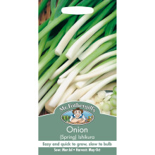 Mr Fothergills - Pictorial Packet - Vegetable - Spring Onion Ishikura - 500 Seeds