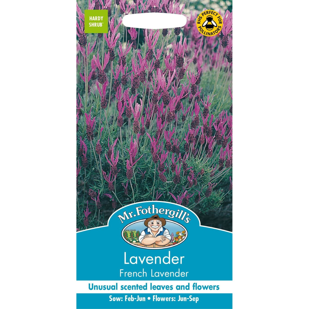 Mr Fothergills - Pictorial Packet - Flower - Lavender French - 35 Seeds