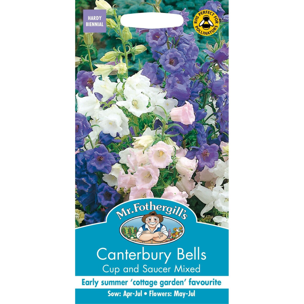 Mr Fothergills - Pictorial Packet - Flower - Canterbury Bells - Cup & Saucer Mix - 650 Seeds