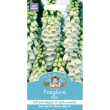 Mr Fothergills - Pictorial Packet - Flower - Foxglove Alba - 1000 Seeds