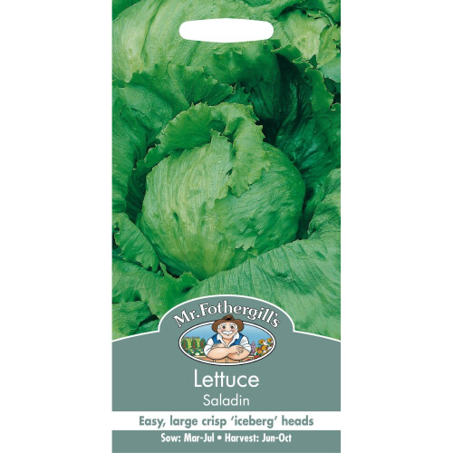 Mr Fothergills - Pictorial Packet - Vegetable - Lettuce Saladin - 750 ...