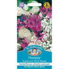 Mr Fothergills - Pictorial Packet - Flower - Honesty Purple and White Mixed - 50 Seeds
