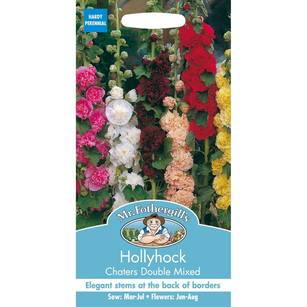 Mr Fothergill's - Pictorial Packet - Flower - Hollyhock Chaters Double Mixed - 50 Seeds