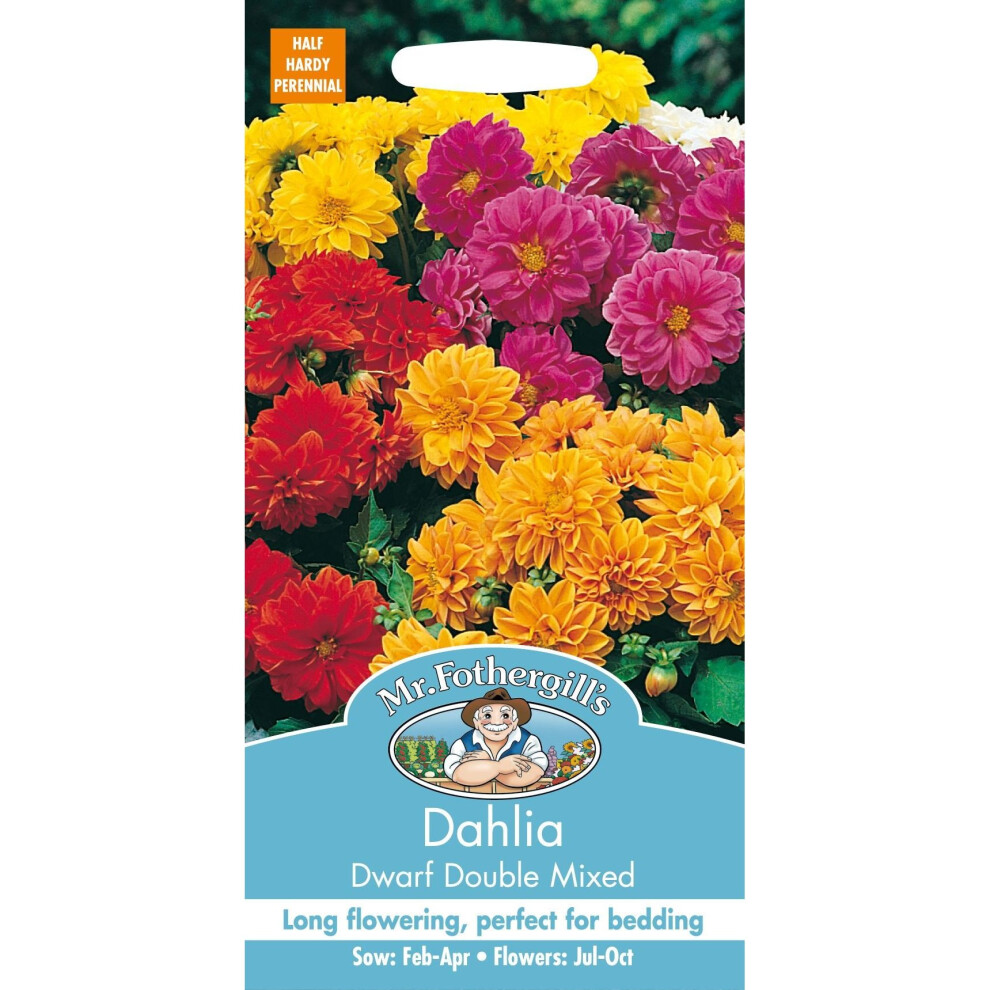 Mr Fothergill's - Pictorial Packet - Flower - Dahlia Dwarf Double Mixed - 50 Seeds