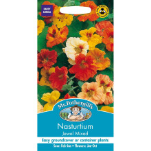 Mr Fothergills - Pictorial Packet - Flower - Nasturtium Jewel Mixed - 35 Seeds