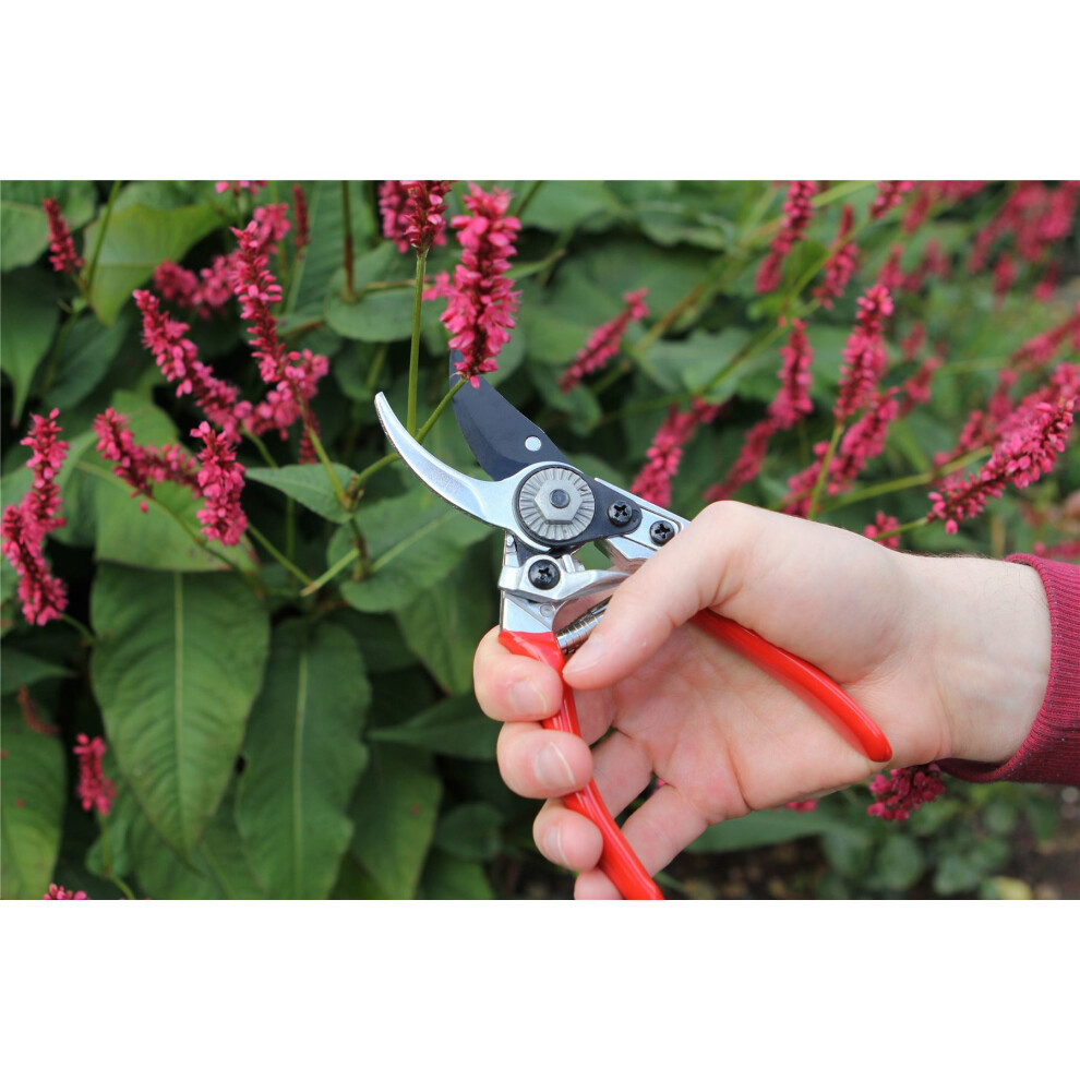 Darlac DP930 - Ladies Professional Pruner - Garden Secateurs