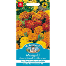 Mr Fothergills - Pictorial Packet - Flower - Marigold (French) Dwarf Double Mixed - 150 Seeds