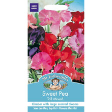 Mr Fothergills Pictorial Packet: Sweet Pea Tall Mixed (Spencer Type) - 40 Seeds, Hardy climber to 180cm