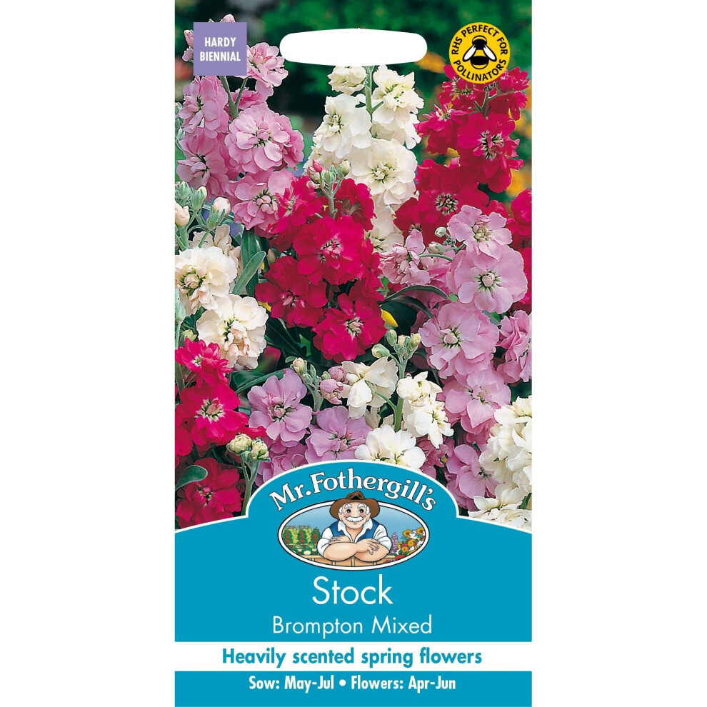 Mr Fothergills - Pictorial Packet - Flower - Stock Brompton Mixed - 150 Seeds