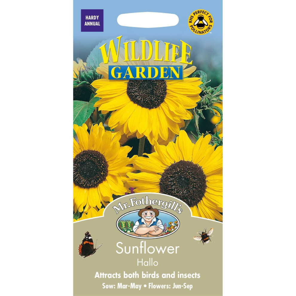 Mr Fothergills - Pictorial Packet - Flower - Sunflower Hallo - 30 Seeds