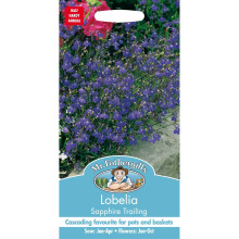 Mr Fothergills - Pictorial Packet - Flower - Lobelia Sapphire Trailing - 2000 Seeds