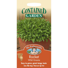 Mr Fothergills - Pictorial Packet - Herb - Rocket Wild Grazia - 500 Seeds