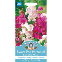 Mr Fothergills - Pictorial Packet - Flower - Sweet Pea Perennial Everlasting Mixed - 20 Seeds