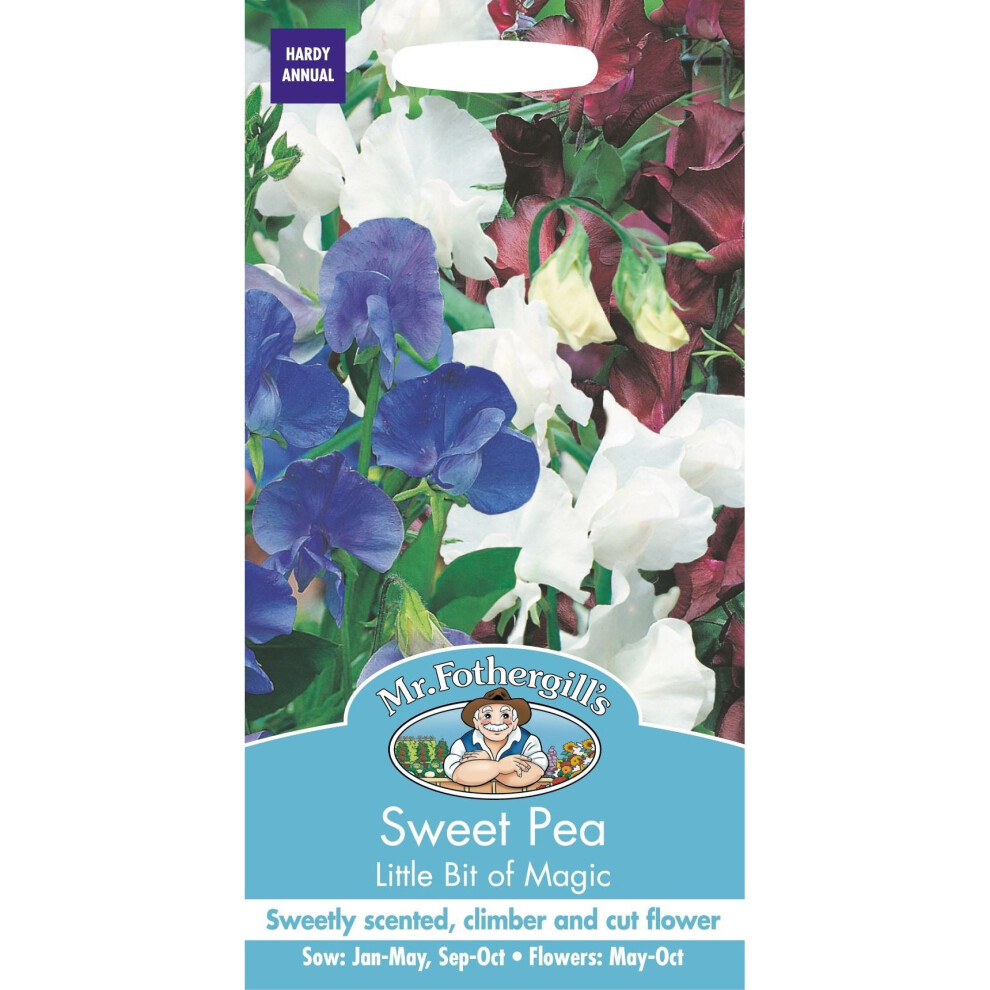 Mr Fothergills - Pictorial Packet - Flower - Sweet Pea Little bit of magic - 25 Seeds