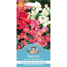 Mr Fothergills - Pictorial Packet - Flower - Begonia Summer Rainbow F2 - 2000 Seeds