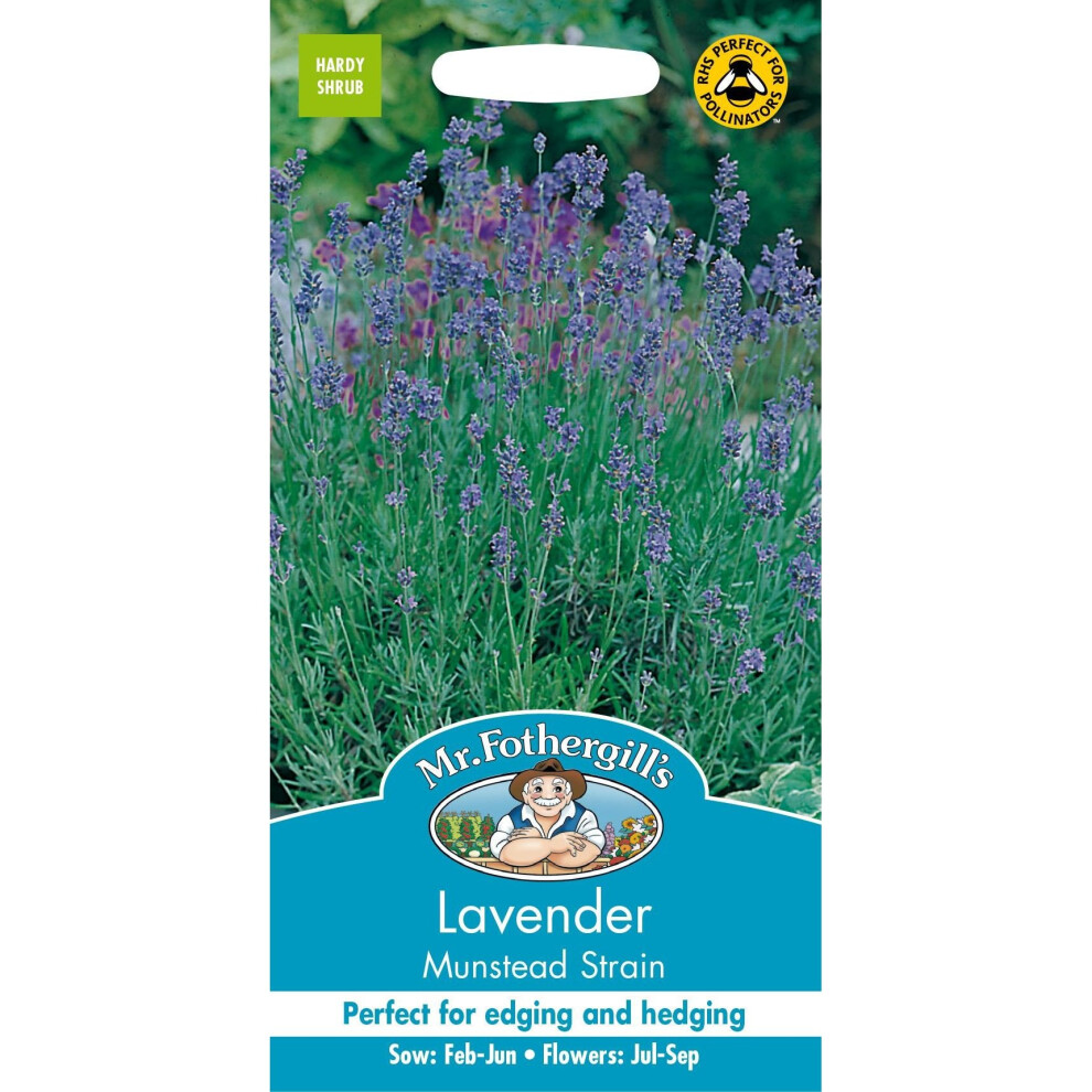 Mr Fothergill's - Pictorial Packet - Herb - Munstead Strain - 150 Seeds Lavender