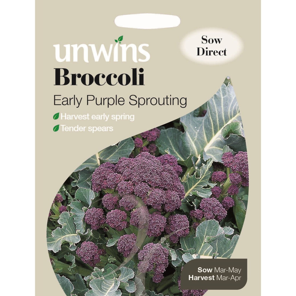 Unwins Grow Your Own Broccoli Early Spring Sprouting Vegetable Purple