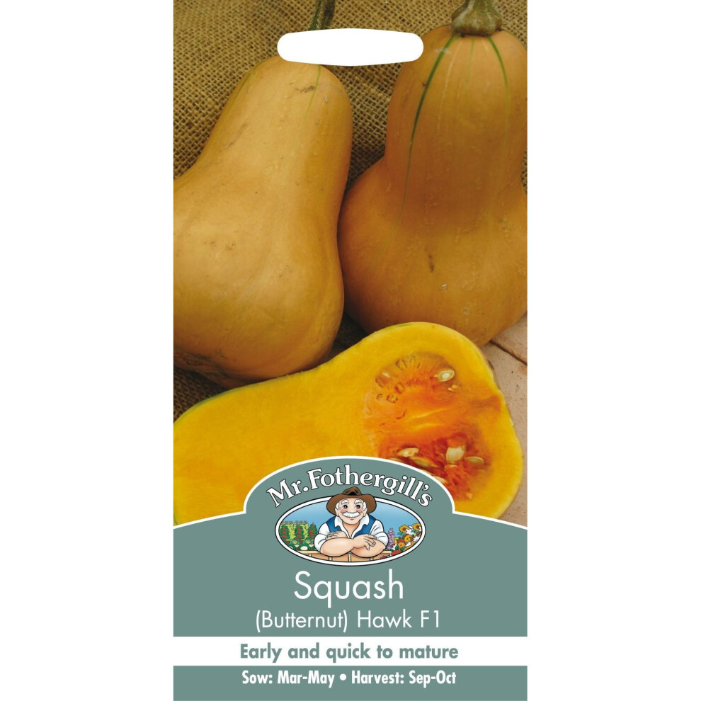 Mr Fothergills - Pictorial Packet - Vegetable - Butternut Squash - Hawk F1 - 10 Seed