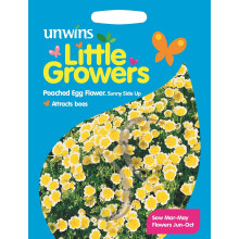 Unwins Grow Your Own Little Growers Poached Egg Sunny Side Up Flower Seeds