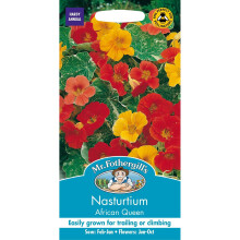 Mr Fothergills - Pictorial Packet - Flower - Nasturtium African Queen - 25 Seeds