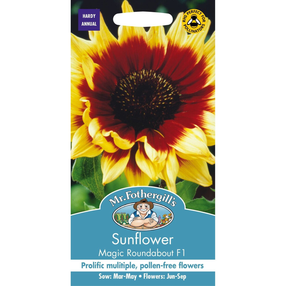 Mr Fothergill's - Pictorial Packet - Flower - Sunflower Magic Roundabout F1 - 50 Seeds