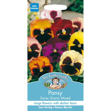 Mr Fothergills - Pictorial Packet - Flower - Pansy Swiss Giants Mixed - 150 Seeds
