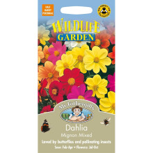 Mr Fothergills - Pictorial Packet - Flower - Dahlia Mignon Mixed - 50 Seeds